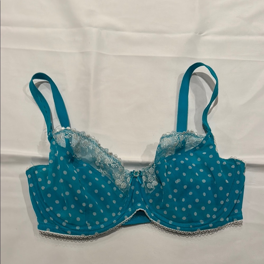 Blue Polka Dot Lace Trim Bra